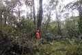marapi true peak 094