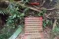 DSCN3702