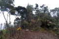 DSCN3710