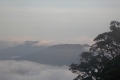DSCN3756