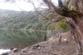 DSCN3786