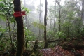 masurai-11