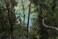 masurai-8