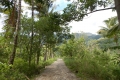 east-timor-068