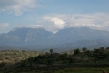 east timor 131