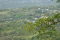 DSC08259