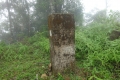 DSC08294