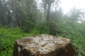 DSC08307
