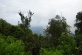 DSC08331