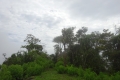 DSC08338