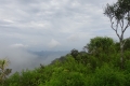 DSC08345