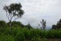 DSC08350-Copy