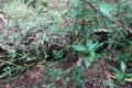 DSC08356