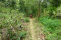 DSC08360