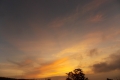DSCN4426