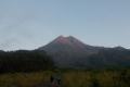 DSCN4461