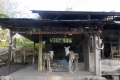 DSCN4591