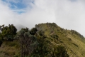 DSCN3179