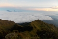 DSCN3354
