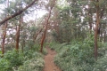 DSCN3447