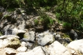 DSC07332