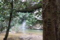 021-paku-waterfall-seen-from-the-trail
