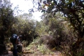 069 Between Camps 3 and 4