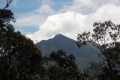 071 A closer look at Mulu summit