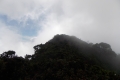107 Looking towards Mulu summit ridge