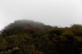 117 Mulu summit ridge