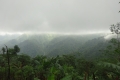 DSC00444