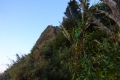 DSC05774