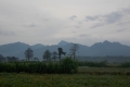DSCN5002