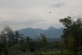 DSCN5005