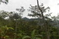 DSCN5024