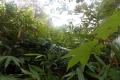 DSCN5036