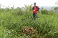 DSCN5049