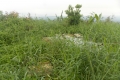 DSCN5069