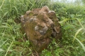 DSCN5089