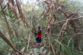 DSCN5100