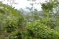 DSCN5101