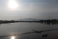 DSCN8541