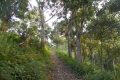 DSCN8636