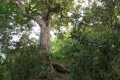 DSCN8645