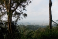 DSCN8649