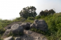 DSCN8666