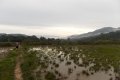 DSCN0439