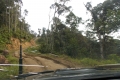 DSCN0460