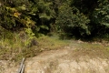 DSCN0490