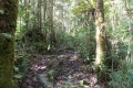 DSCN0493